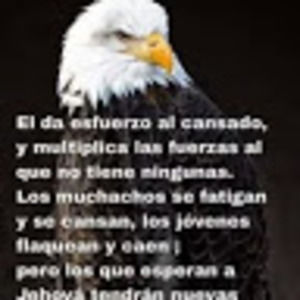 Meet your Posher, Marco antonio